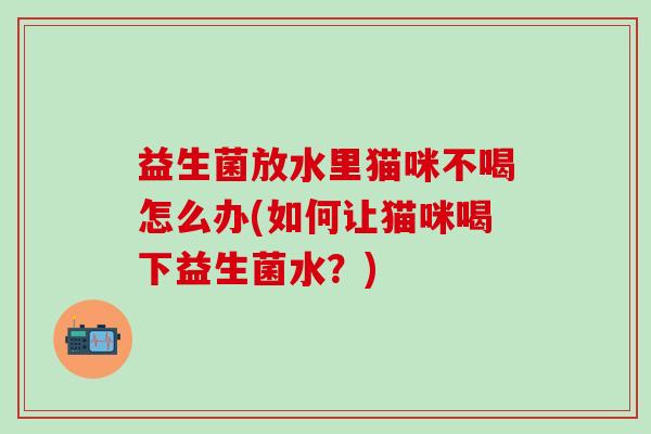 益生菌放水里猫咪不喝怎么办(如何让猫咪喝下益生菌水？)