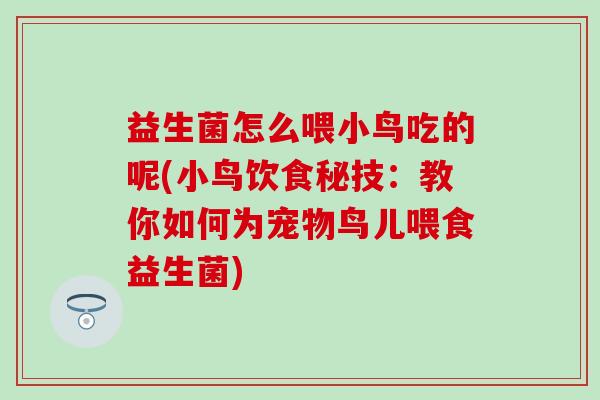 益生菌怎么喂小鸟吃的呢(小鸟饮食秘技：教你如何为宠物鸟儿喂食益生菌)