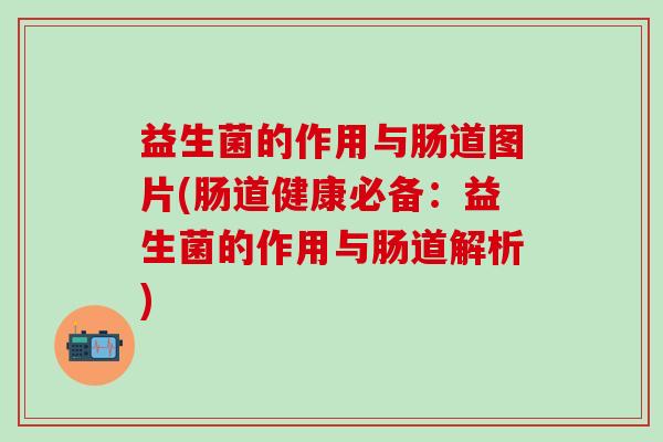 益生菌的作用与肠道图片(肠道健康必备：益生菌的作用与肠道解析)
