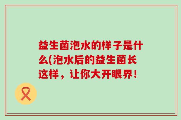 益生菌泡水的样子是什么(泡水后的益生菌长这样，让你大开眼界！