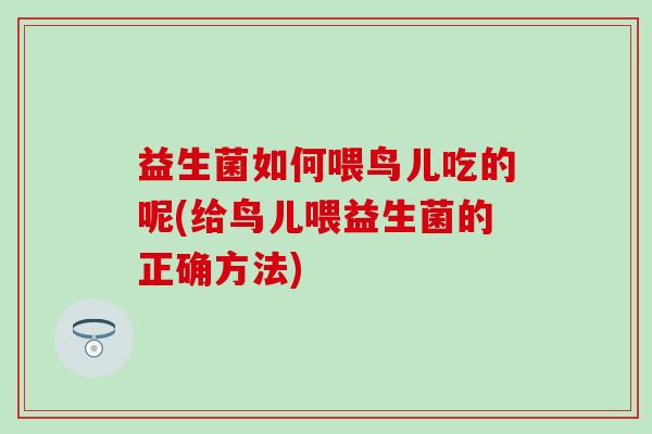 益生菌如何喂鸟儿吃的呢(给鸟儿喂益生菌的正确方法)