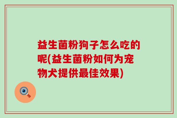 益生菌粉狗子怎么吃的呢(益生菌粉如何为宠物犬提供佳效果)