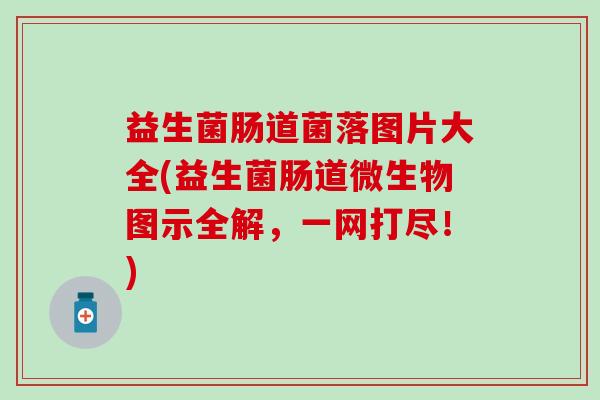 益生菌肠道菌落图片大全(益生菌肠道微生物图示全解，一网打尽！)