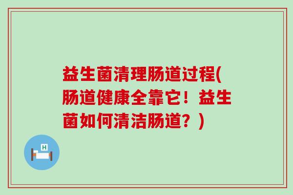 益生菌清理肠道过程(肠道健康全靠它！益生菌如何清洁肠道？)