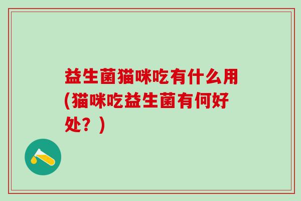 益生菌猫咪吃有什么用(猫咪吃益生菌有何好处？)