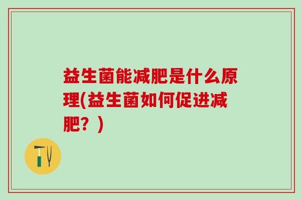 益生菌能是什么原理(益生菌如何促进？)