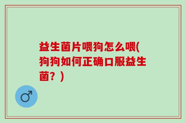 益生菌片喂狗怎么喂(狗狗如何正确口服益生菌？)