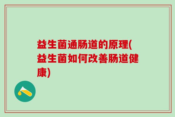 益生菌通肠道的原理(益生菌如何改善肠道健康)