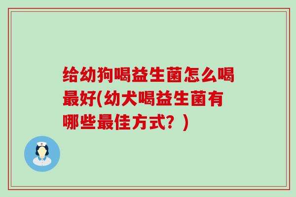 给幼狗喝益生菌怎么喝好(幼犬喝益生菌有哪些佳方式？)
