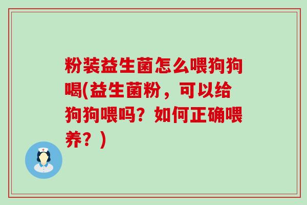粉装益生菌怎么喂狗狗喝(益生菌粉，可以给狗狗喂吗？如何正确喂养？)