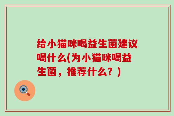 给小猫咪喝益生菌建议喝什么(为小猫咪喝益生菌，推荐什么？)