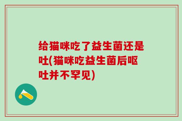 给猫咪吃了益生菌还是吐(猫咪吃益生菌后并不罕见)