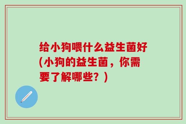 给小狗喂什么益生菌好(小狗的益生菌，你需要了解哪些？)