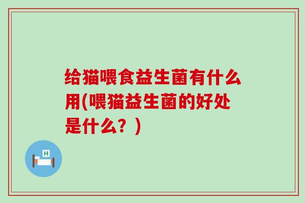 给猫喂食益生菌有什么用(喂猫益生菌的好处是什么？)