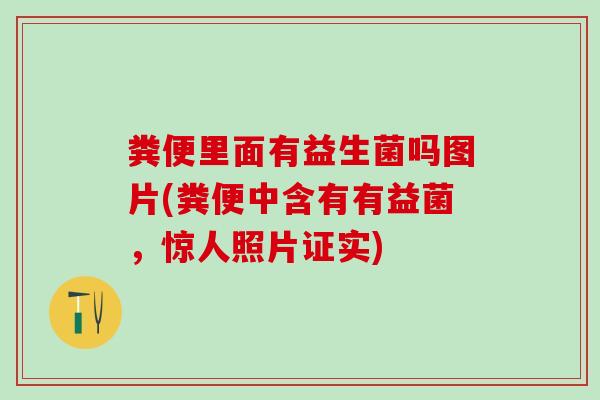粪便里面有益生菌吗图片(粪便中含有有益菌，惊人照片证实)