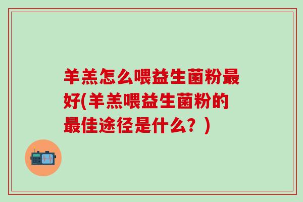 羊羔怎么喂益生菌粉好(羊羔喂益生菌粉的佳途径是什么？)