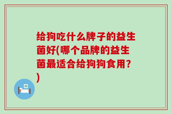 给狗吃什么牌子的益生菌好(哪个品牌的益生菌适合给狗狗食用？)