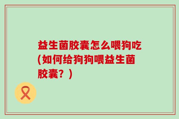 益生菌胶囊怎么喂狗吃(如何给狗狗喂益生菌胶囊？)