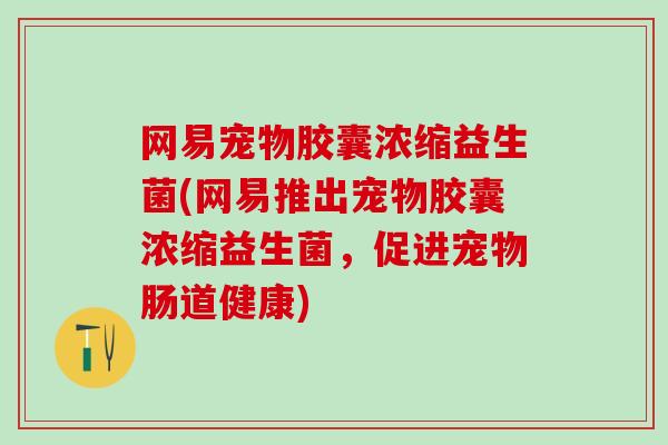 网易宠物胶囊浓缩益生菌(网易推出宠物胶囊浓缩益生菌,促进宠物肠道健康) 网易宠物胶囊浓缩益生菌(网易推出宠物胶囊浓缩益生菌,促进宠物肠道健康)