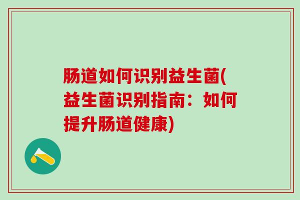 肠道如何识别益生菌(益生菌识别指南：如何提升肠道健康)