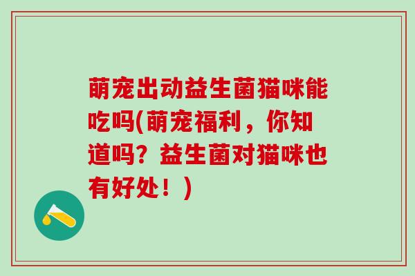 萌宠出动益生菌猫咪能吃吗(萌宠福利，你知道吗？益生菌对猫咪也有好处！)