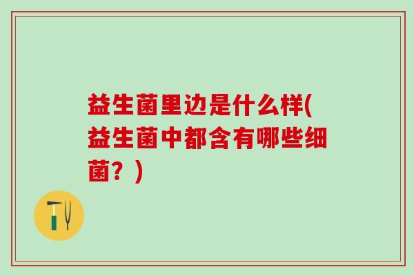 益生菌里边是什么样(益生菌中都含有哪些？)