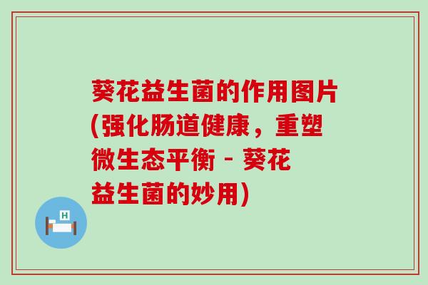 葵花益生菌的作用图片(强化肠道健康，重塑微生态平衡 - 葵花益生菌的妙用)