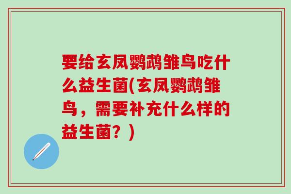 要给玄凤鹦鹉雏鸟吃什么益生菌(玄凤鹦鹉雏鸟，需要补充什么样的益生菌？)