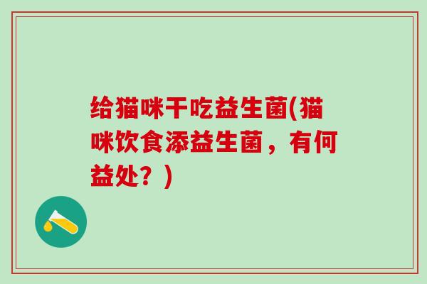 给猫咪干吃益生菌(猫咪饮食添益生菌，有何益处？)