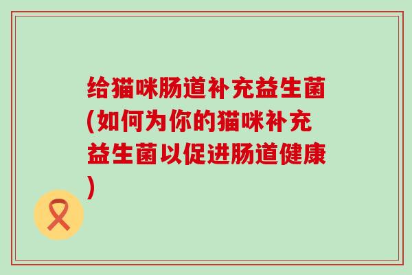 给猫咪肠道补充益生菌(如何为你的猫咪补充益生菌以促进肠道健康) 给猫咪肠道补充益生菌(如何为你的猫咪补充益生菌以促进肠道健康)