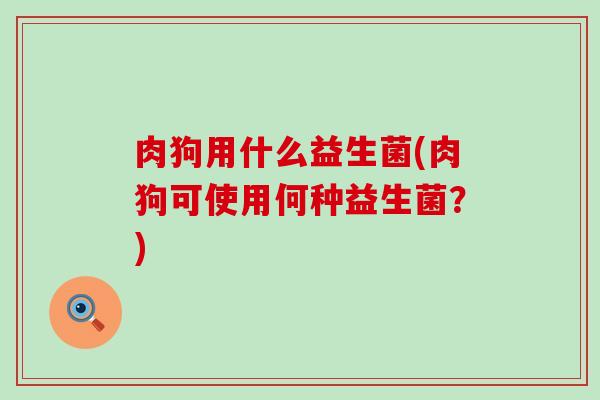 肉狗用什么益生菌(肉狗可使用何种益生菌？)