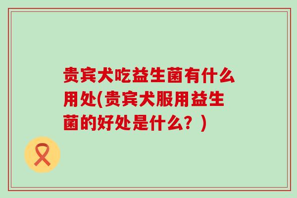 贵宾犬吃益生菌有什么用处(贵宾犬服用益生菌的好处是什么？)