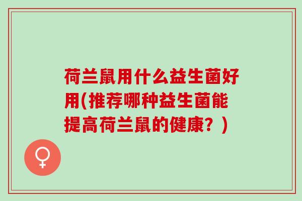 荷兰鼠用什么益生菌好用(推荐哪种益生菌能提高荷兰鼠的健康？)