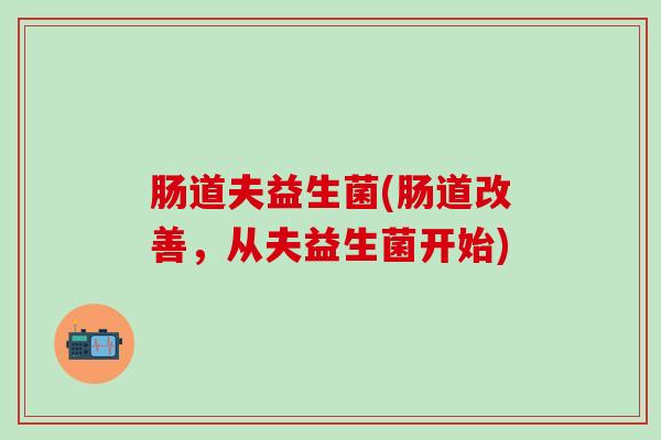 肠道夫益生菌(肠道改善，从夫益生菌开始)