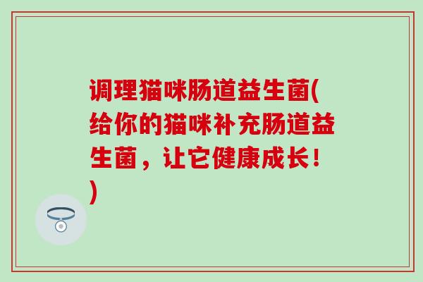 调理猫咪肠道益生菌(给你的猫咪补充肠道益生菌，让它健康成长！)
