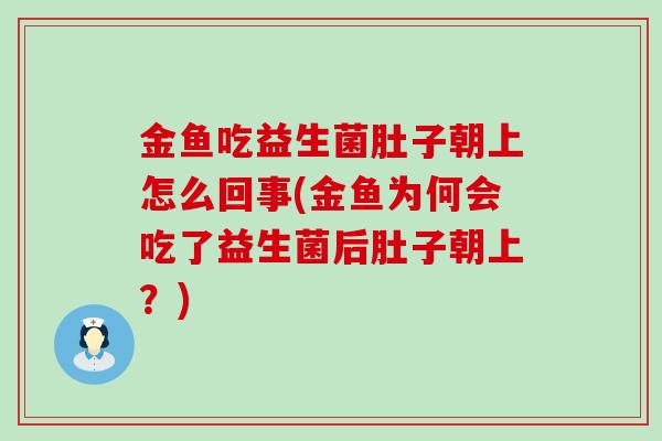 金鱼吃益生菌肚子朝上怎么回事(金鱼为何会吃了益生菌后肚子朝上？)