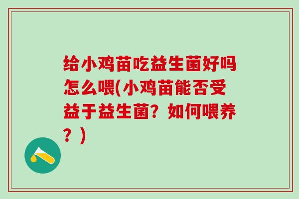 给小鸡苗吃益生菌好吗怎么喂(小鸡苗能否受益于益生菌？如何喂养？)