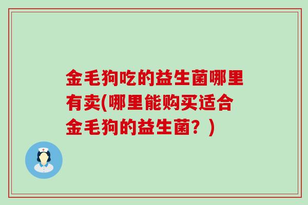金毛狗吃的益生菌哪里有卖(哪里能购买适合金毛狗的益生菌？)