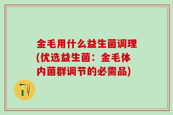 金毛用什么益生菌调理(优选益生菌：金毛体内菌群调节的必需品)