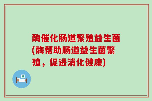 酶催化肠道繁殖益生菌(酶帮助肠道益生菌繁殖，促进消化健康)