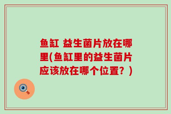 鱼缸 益生菌片放在哪里(鱼缸里的益生菌片应该放在哪个位置？)