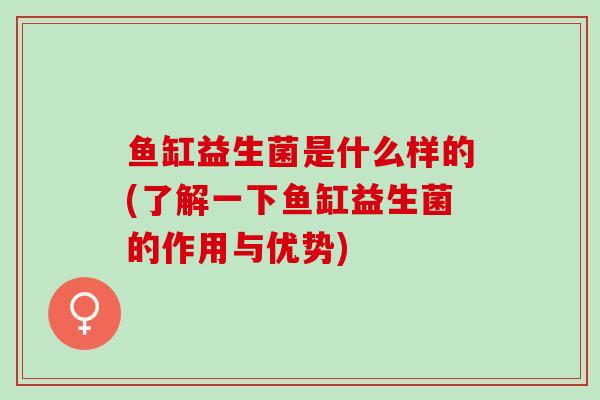 鱼缸益生菌是什么样的(了解一下鱼缸益生菌的作用与优势)