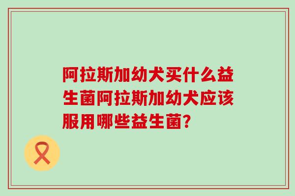 阿拉斯加幼犬买什么益生菌阿拉斯加幼犬应该服用哪些益生菌？