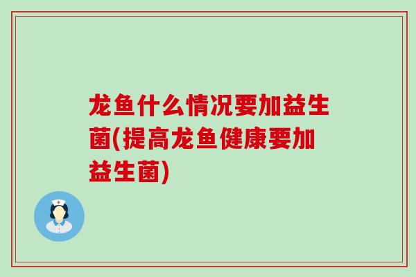 龙鱼什么情况要加益生菌(提高龙鱼健康要加益生菌)