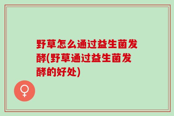 野草怎么通过益生菌发酵(野草通过益生菌发酵的好处)