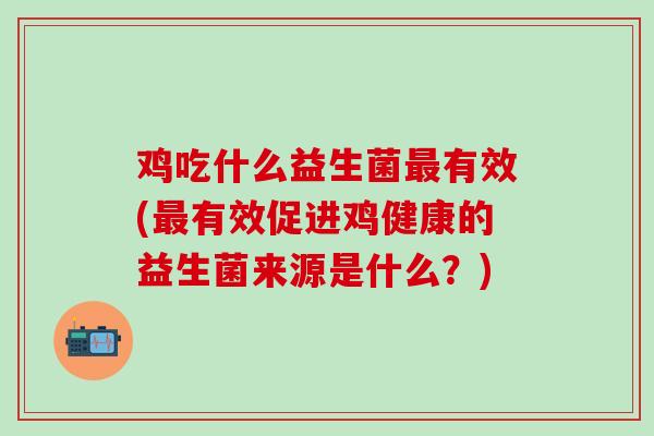鸡吃什么益生菌有效(有效促进鸡健康的益生菌来源是什么？)