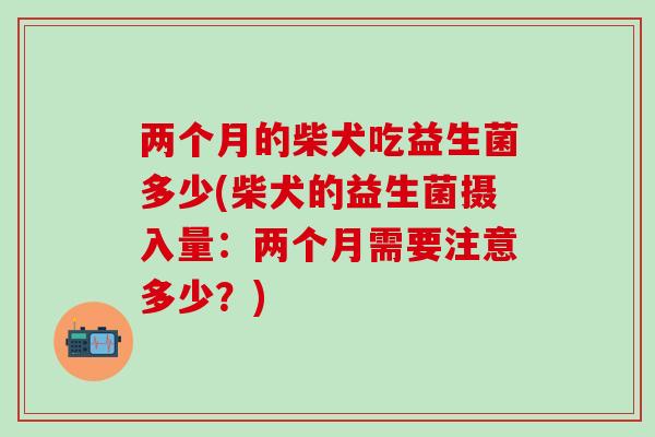 两个月的柴犬吃益生菌多少(柴犬的益生菌摄入量：两个月需要注意多少？)