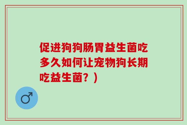 促进狗狗肠胃益生菌吃多久如何让宠物狗长期吃益生菌？)