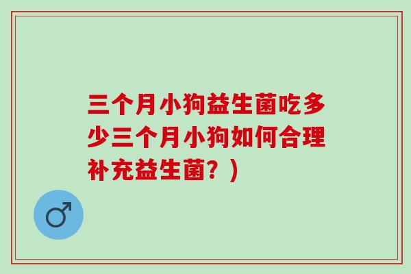 三个月小狗益生菌吃多少三个月小狗如何合理补充益生菌？)