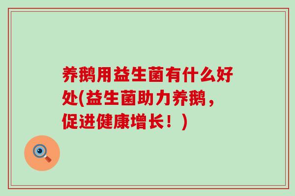 养鹅用益生菌有什么好处(益生菌助力养鹅，促进健康增长！)